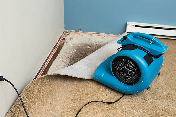 Reliable Decherd, TN Water damage restoration Solutions